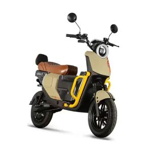 Electric scooter TAILG-ELECTRA - 2000 Watt
