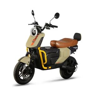 Electric scooter TAILG-ELECTRA - 2000 Watt