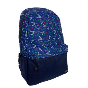 IC4025 Blue Paris_1.jpeg