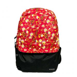 IC4025 RED Spring_1.jpeg