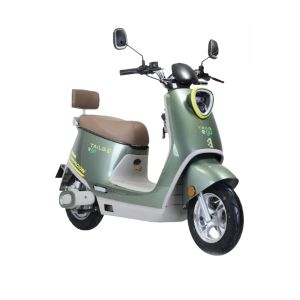 Electric scooter TAILG-Dragon -1200 Watt 