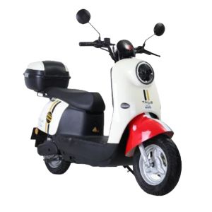Electric scooter TAILG-Frozen - 1500 Watt 
