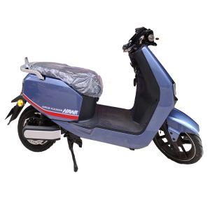 Electric scooter TAILG-Hamster Plus - 2000 Watt 